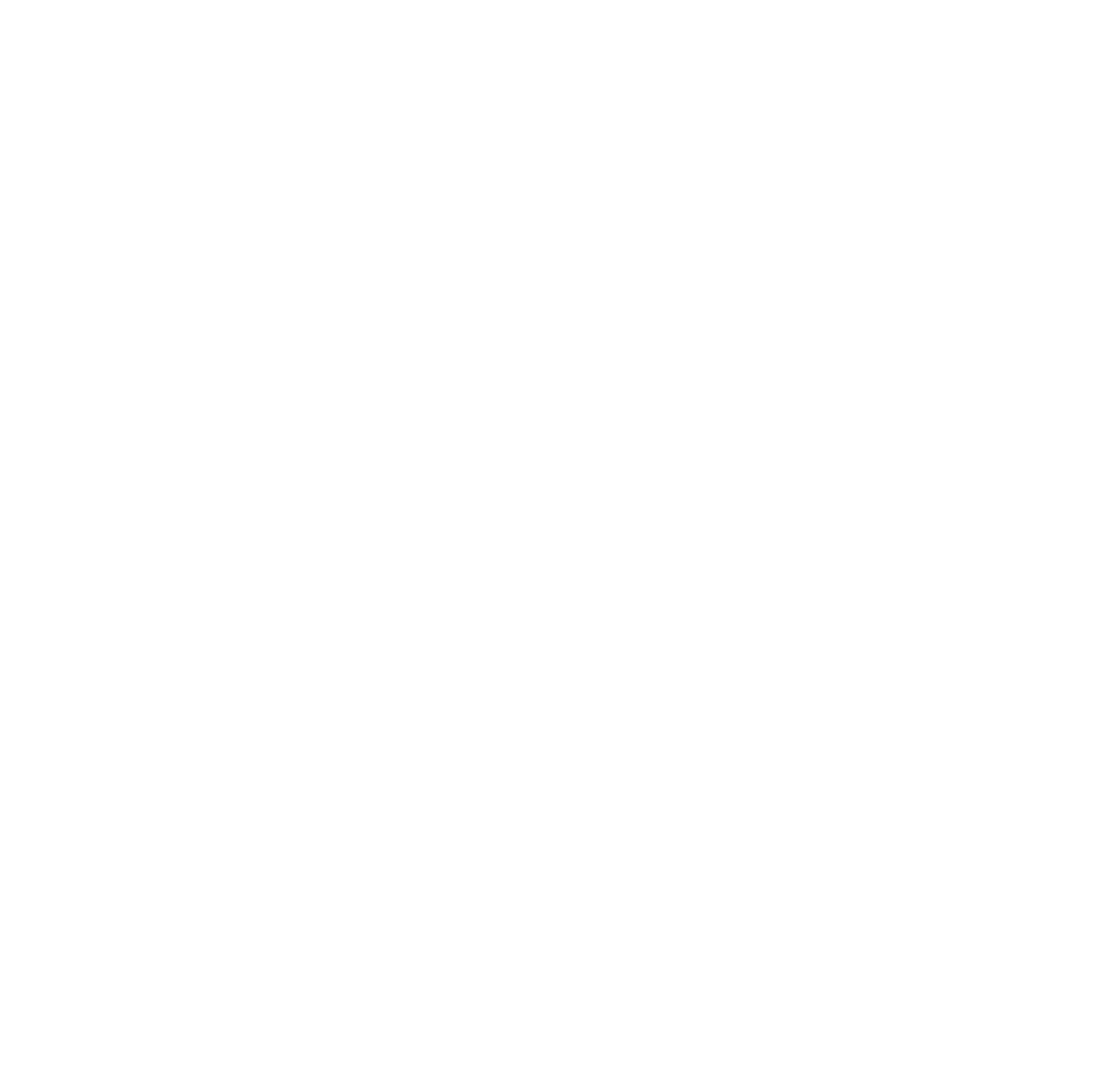 Pizza Perfect